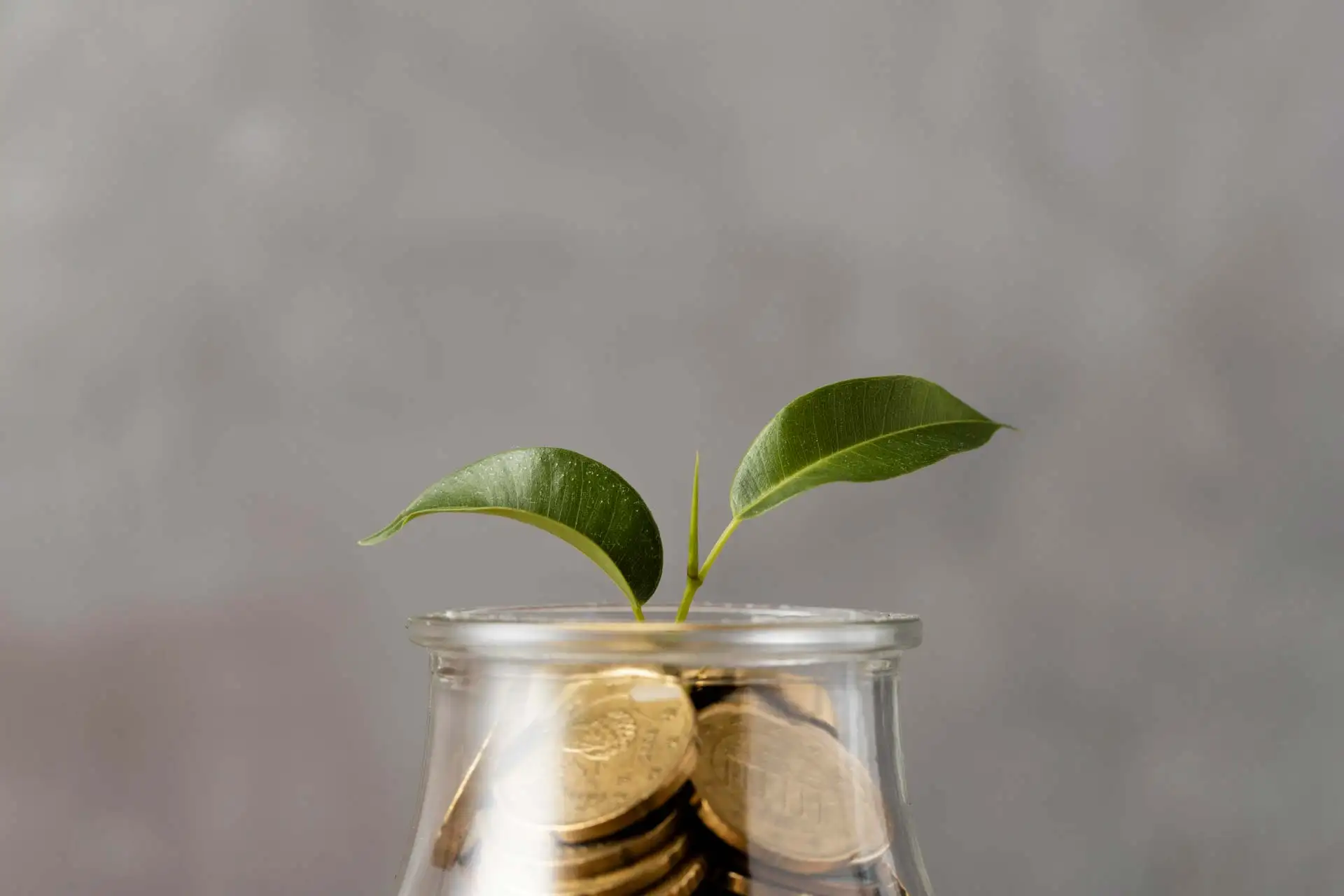 From Start-Up to Scale-Up: Financial Strategies for Business Growth