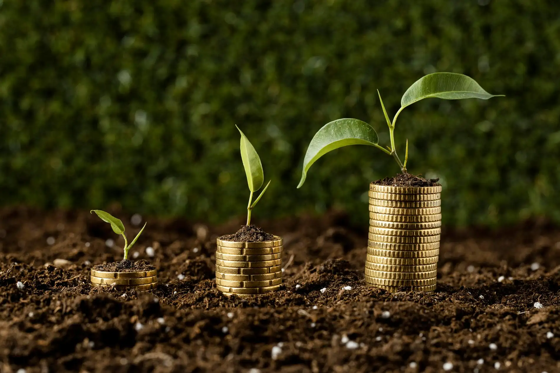 Seasonal Cash Flow Management: Preparing Your Business for Fluctuations